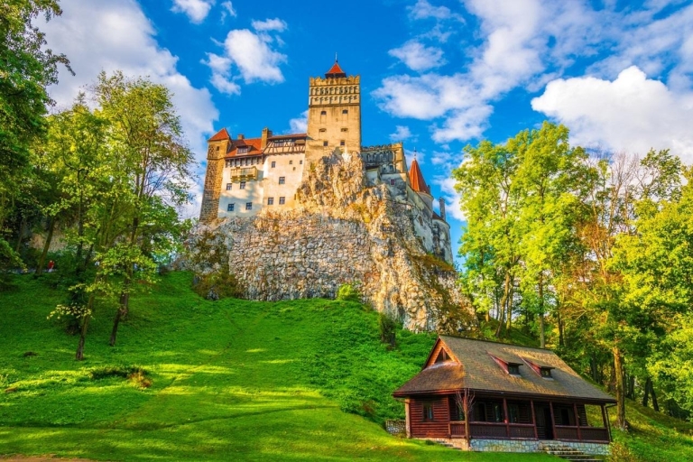 Peles, les châteaux de Dracula et Brasov: excursion privée d'une journée et prise en charge