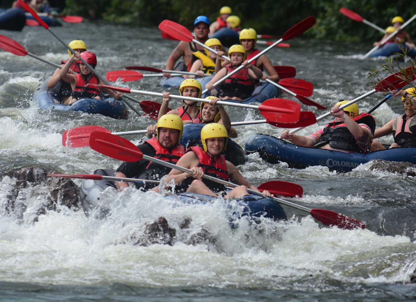 Mission Beach: Tully River Halvdags White Water Rafting