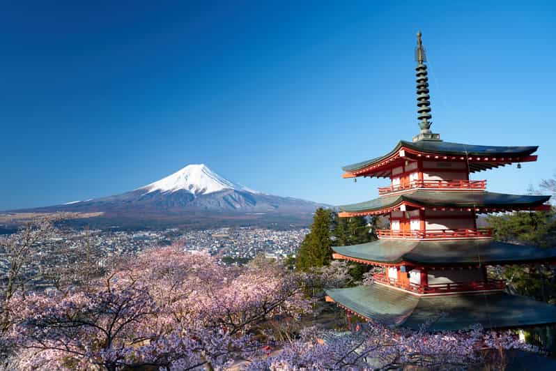 Depuis Tokyo excursion d’une journée autour du mont Fuji GetYourGuide