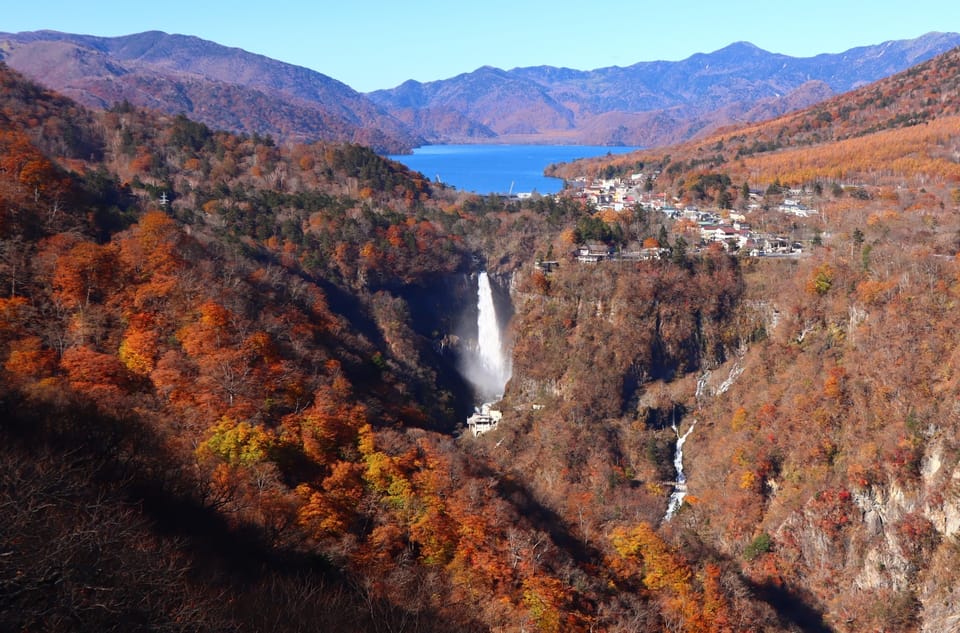 nikko bus tour from tokyo