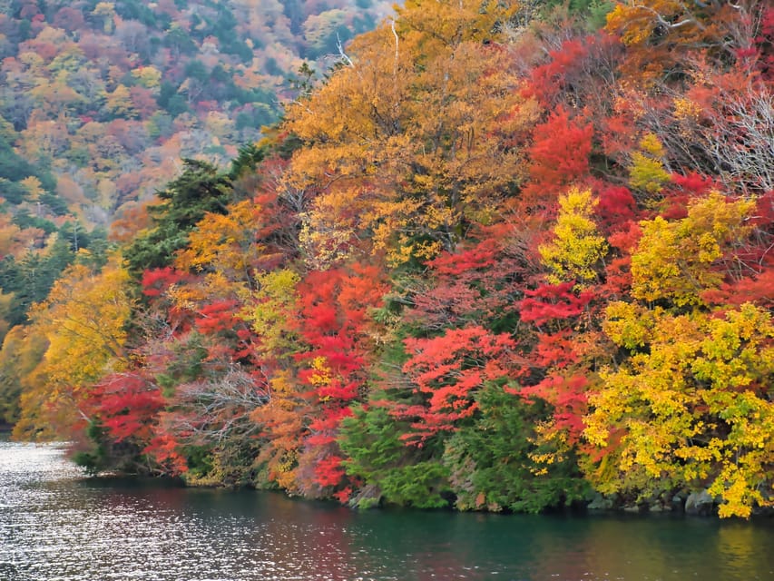 nikko bus tour from tokyo