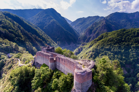 From Bucharest: In the Footsteps of Dracula Day Tour