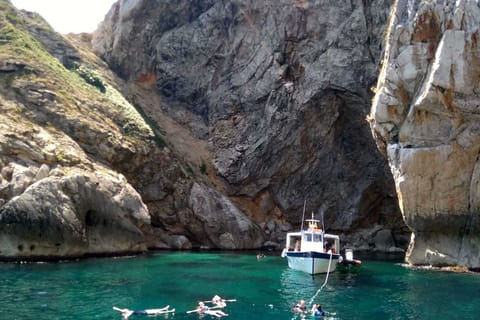 From L’Estartit: 2.5-Hour Snorkeling Excursion