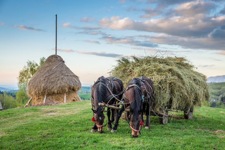 From Bucharest: 3-Day Bucovina & Transylvania Tour