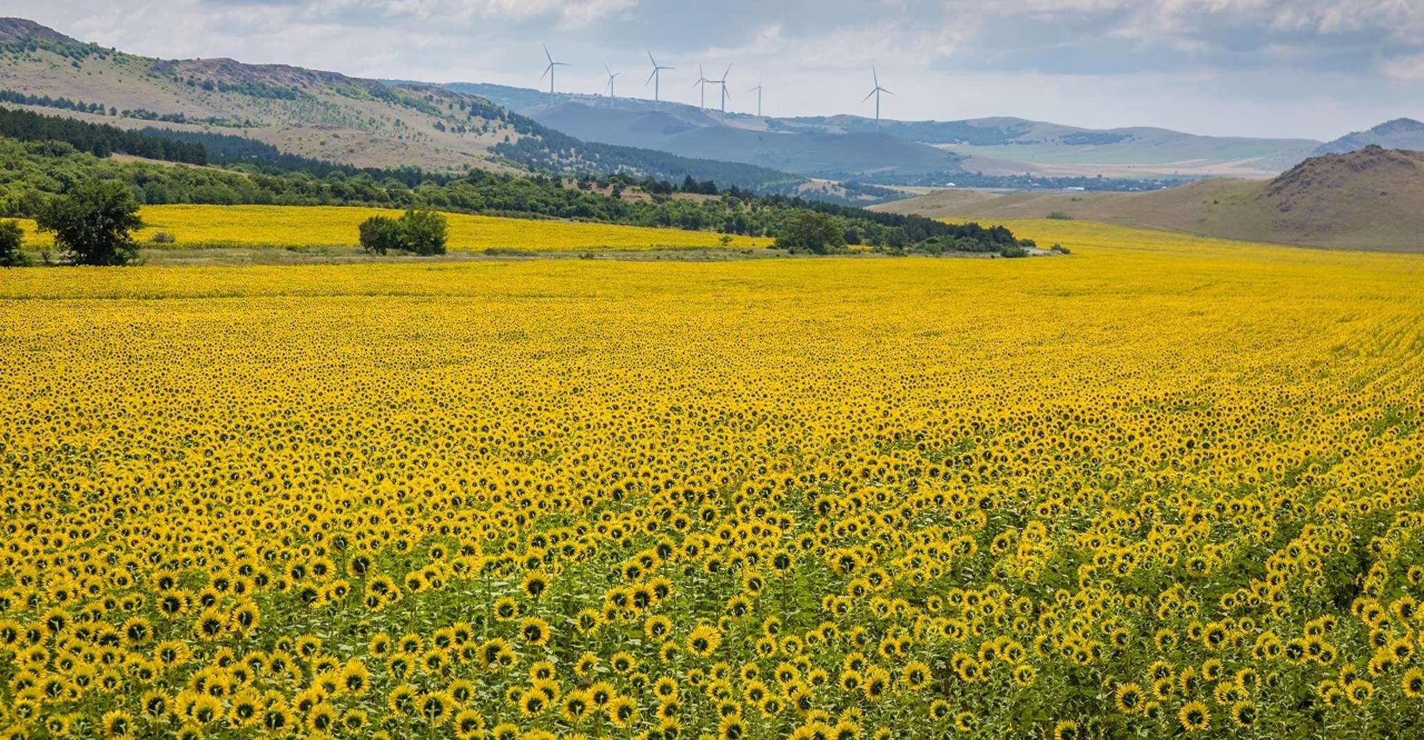 Bükreş'ten, 3 Günlük Bucovina & Transilvanya Turu - Hizvo