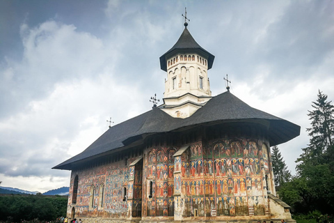 De Bucarest: visite de 3 jours en Bucovine et en Transylvanie