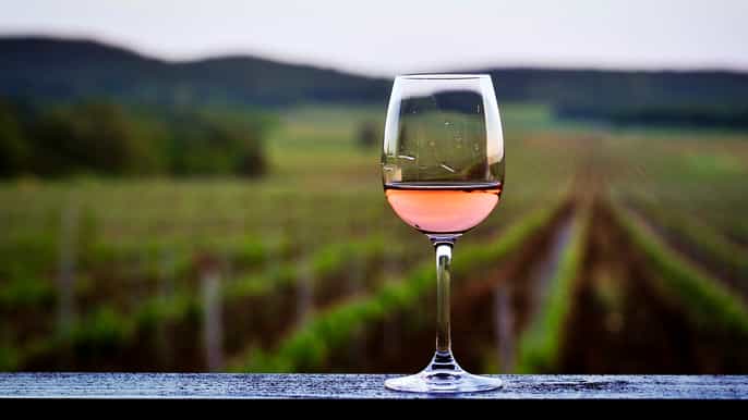 dubrovnik pelješac peninsular wine tour