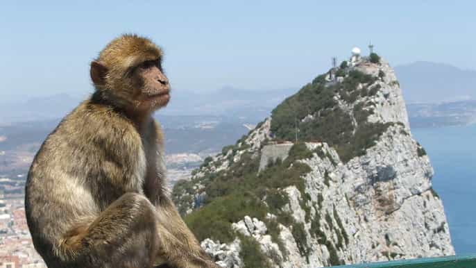 diretto da malaga gita di un giorno a gibilterra con tour guidato