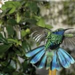 Genova: biglietto di ingresso per la Biosfera