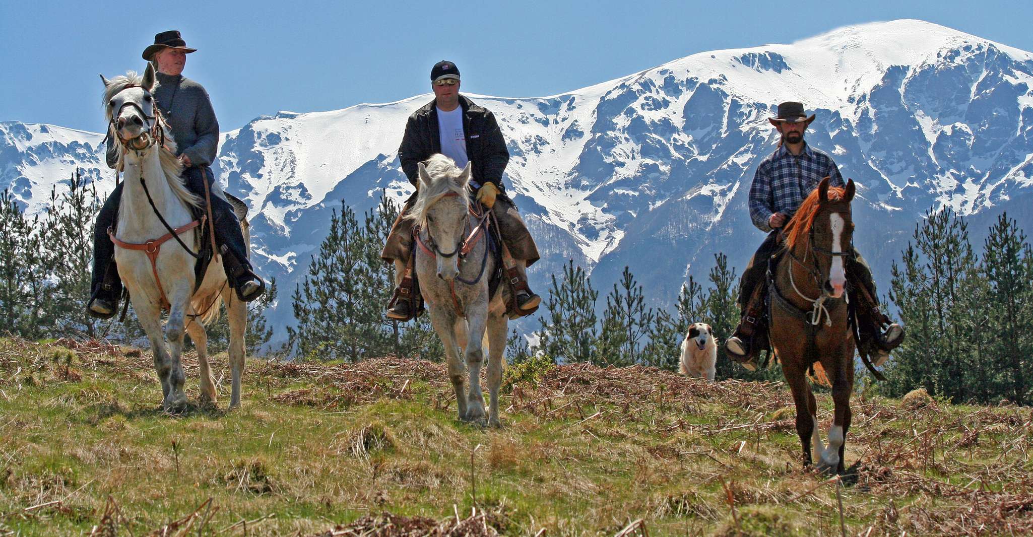 De Bansko, experiencia de montar a caballo - Hizvo