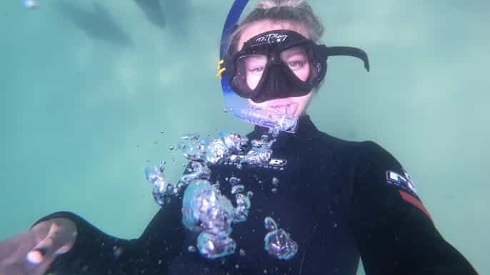 plettenberg bay guided seal swimming experience