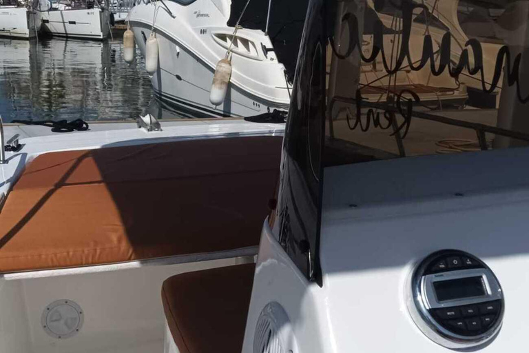 ماربيا: تأجير قوارب بدون ترخيص لمشاهدة الدلافينإيجار لمدة 30 دقيقة