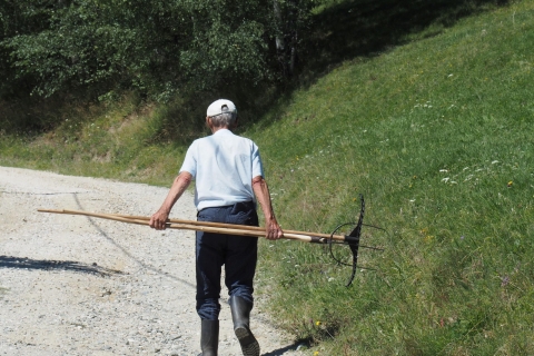 Von Brasov: 2-tägige geführte Wanderung zum Nationalpark Piatra Craiului