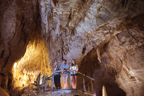 La grotte de Waitomo Ruakuri et Hobbiton : Le circuit de découverte magique