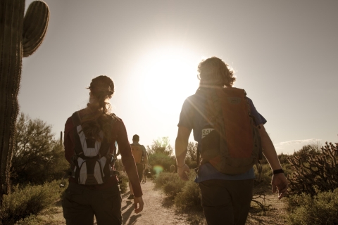 Scottsdale: Half-Day Sonoran Desert Hiking Tour