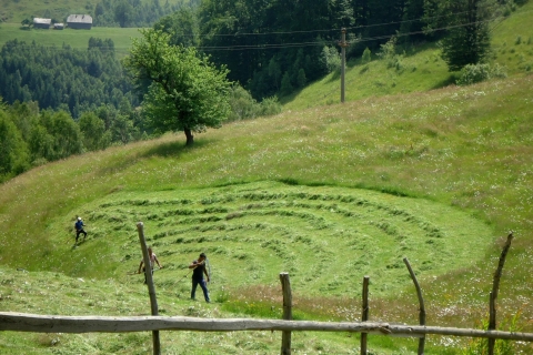 Von Brasov: 2-tägige geführte Wanderung zum Nationalpark Piatra Craiului