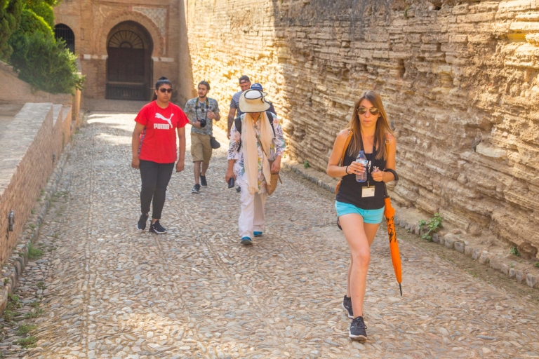 Granada: tour guiado de la Alhambra y ticketEntradas de última hora con visita guiada en francés