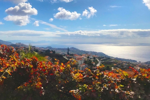 Funchal: Northern Levada Walking Tour