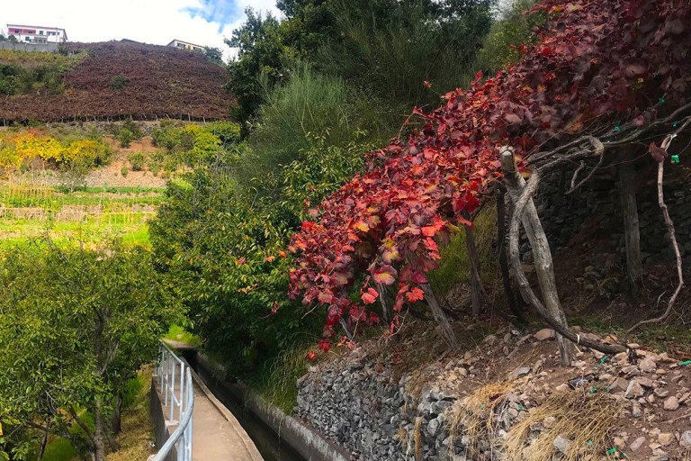 Funchal: Wanderung durch die nördliche Levada