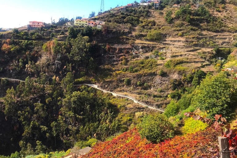 Funchal: Wanderung durch die nördliche Levada