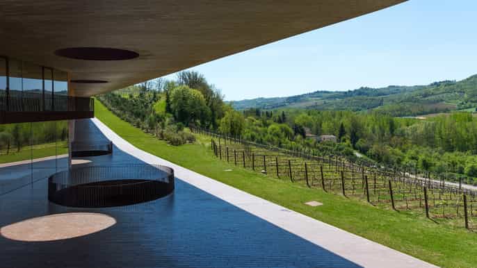 from florence antinori winery visit and chianti tasting