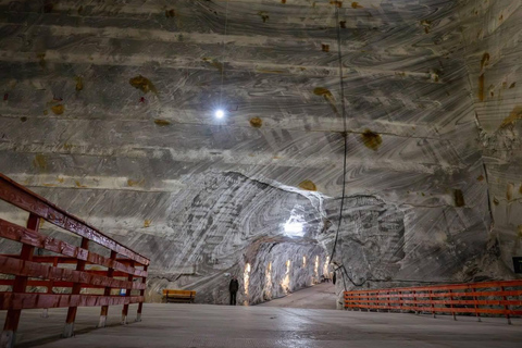 From Brașov: Slanic Salt Mine and Peles Castle Tour