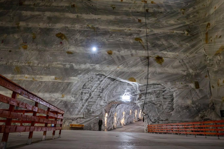From Brașov: Slanic Salt Mine and Peles Castle Tour
