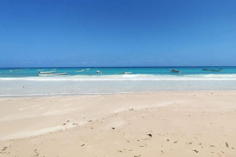 Zanzibar: Upptäck dykningKizimkazi: Menai Bay – upptäck dykning