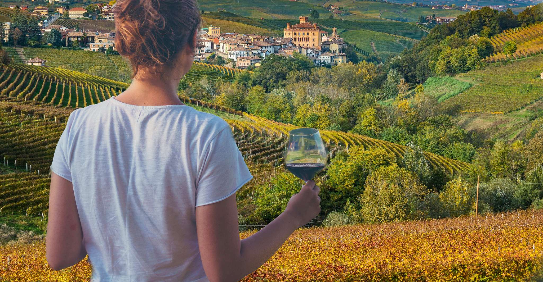 Turin, Langhe Wine Tour avec transferts privés et déjeuner - Housity