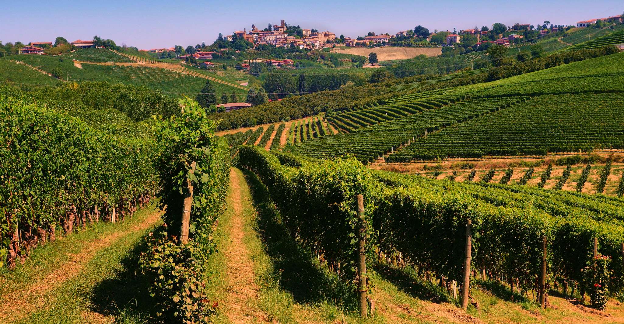 Turin, Langhe Wine Tour avec transferts privés et déjeuner - Housity