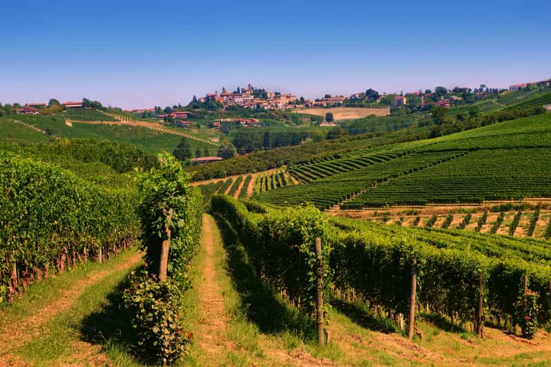 tour enogastronomici langhe