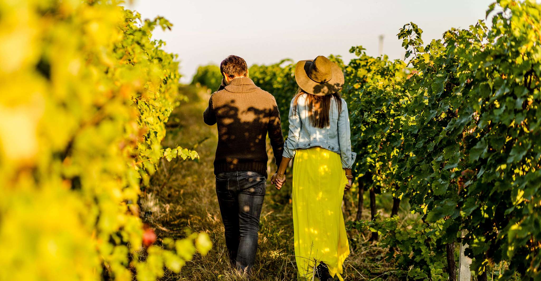 Turin, Langhe Wine Tour avec transferts privés et déjeuner - Housity