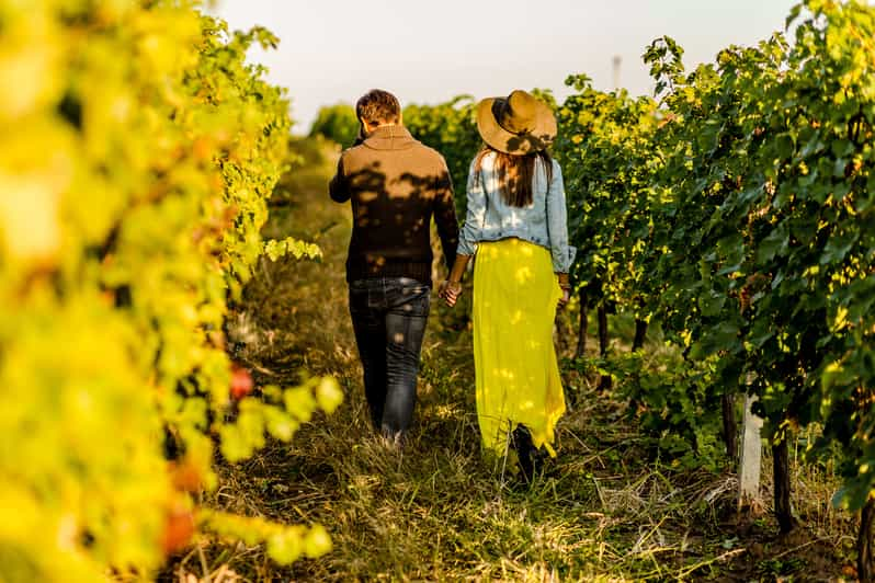 tour enogastronomici langhe