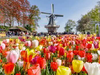 Aus Amsterdam: Keukenhof, Landtour & 1 Attraktion Aus Amsterdam: Keukenhof, Landtour & 1 Attraktion