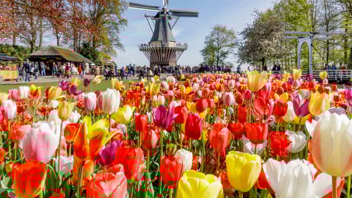 from amsterdam keukenhof countryside tour 1 attraction