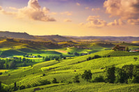 Turin, Langhe Wine Tour avec transferts privés et déjeuner - Housity