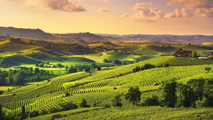 turin langhe wine tour with private transfers and lunch