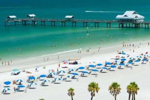 Von Orlando: Tagesausflug nach Clearwater Beach mit Optionen