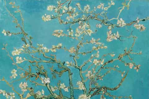 Amsterdam: Van Gogh Tour & Museum Entry Plus One Attraction