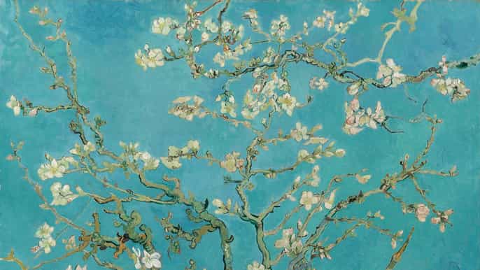 amsterdam van gogh tour museum entry plus one attraction