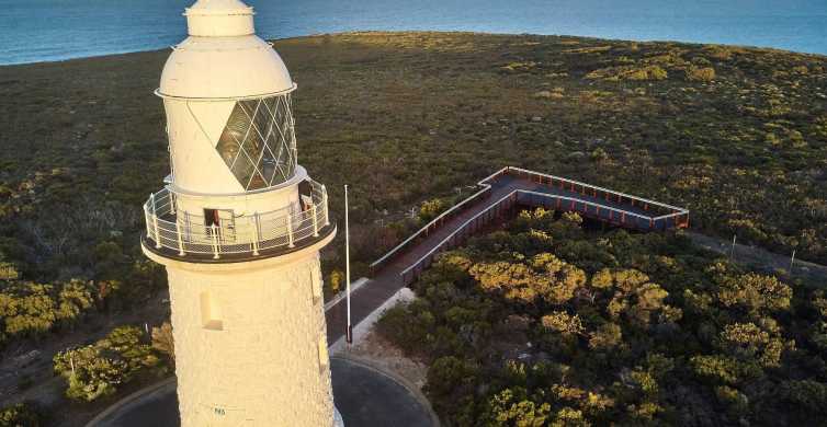 Margaret River Cape Naturaliste Lighthouse Guided Tour
