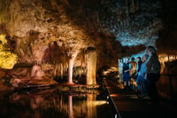 Tour de Margaret River, Lake Cave entièrement guidée - Housity