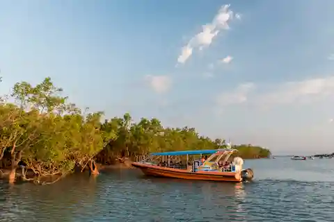 Découvrez le port de Darwin : Croisière de l'après-midi dans le port de Darwin