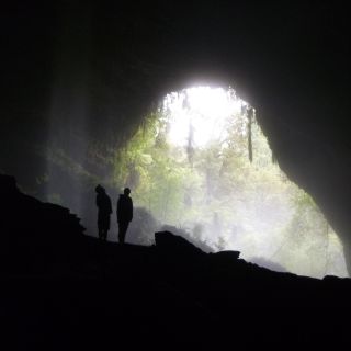 Charleston: Fully Guided Glow Worm Cave Eco-Tour
