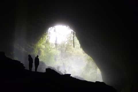 charleston fully guided glow worm cave ecotour