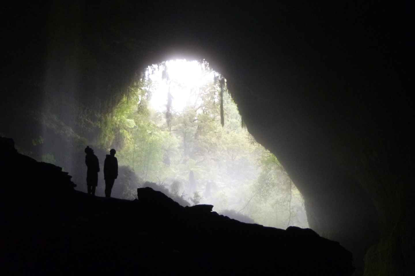 Charleston: Fully Guided Glow Worm Cave Eco-Tour