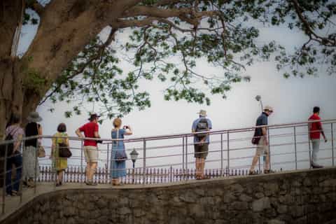 kochi small group culture sightseeing tour with lunch