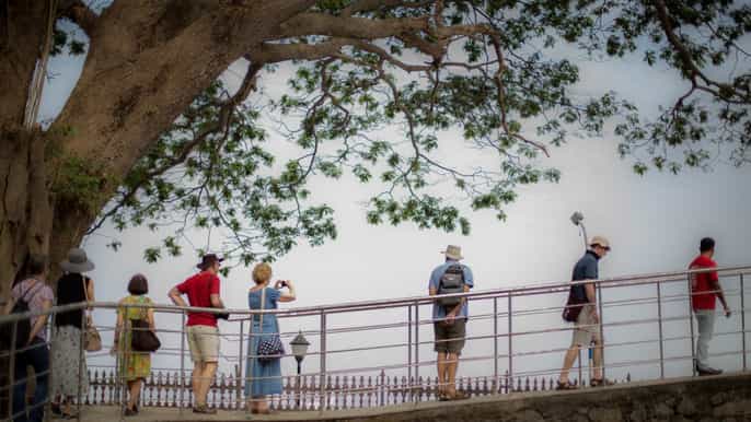 kochi small group culture sightseeing tour with lunch