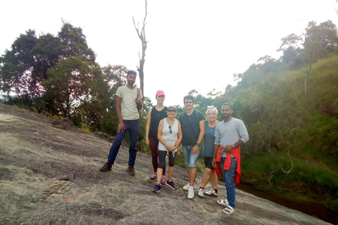 Esplora le cascate iconiche di Ella con un&#039;avventura panoramica in tuk-tuk