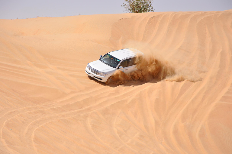 Doha : Safari dans le désert avec quad, planche de sable et promenade en chameauVisite partagée